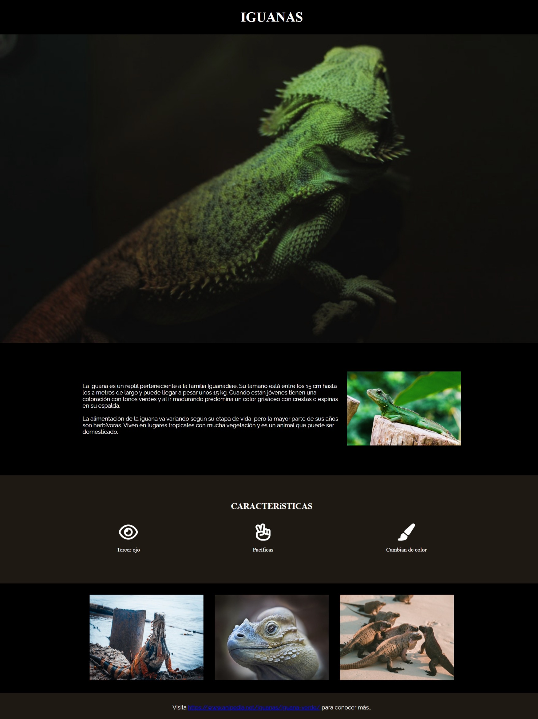 landing page